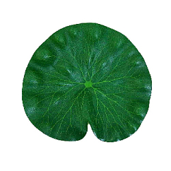 Лист кувшинки 17х17 см